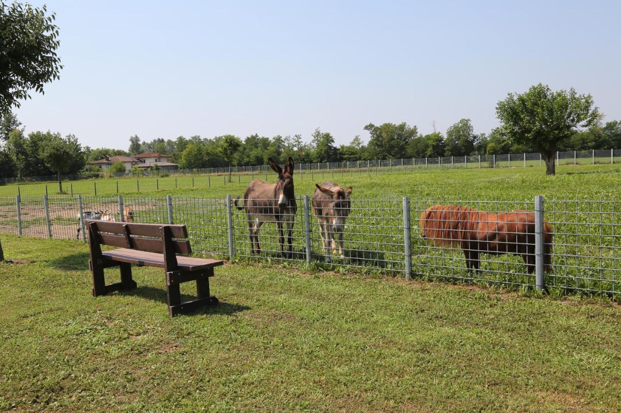 Azienda Agrituristica Ai Prai Castello Di Godego Bagian luar foto